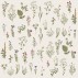 Serviet Flora 50 stk pr pakke